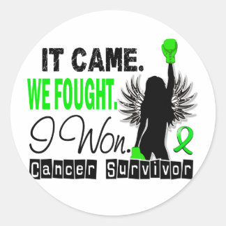 Survivor 22 Non-Hodgkin's Lymphoma Classic Round Sticker