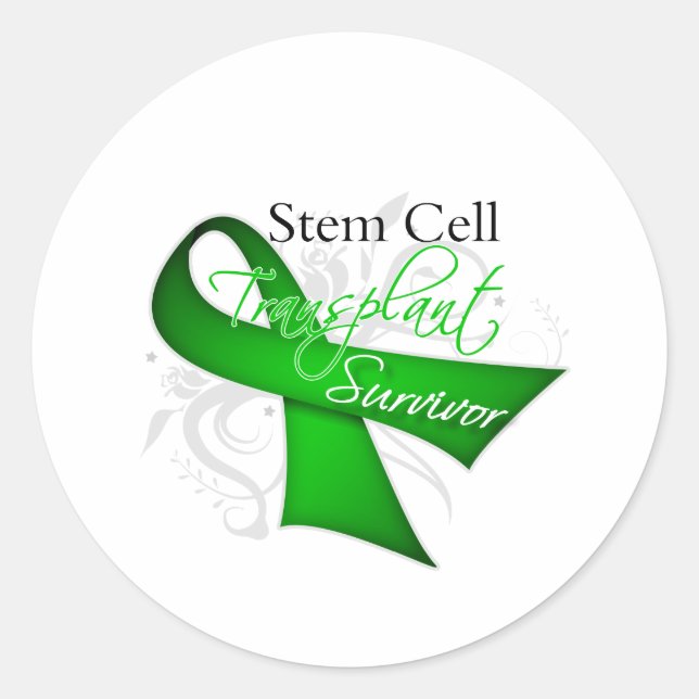 Survivor - Stem Cell Transplant Classic Round Sticker (Front)