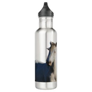 Survivor Water Bottle