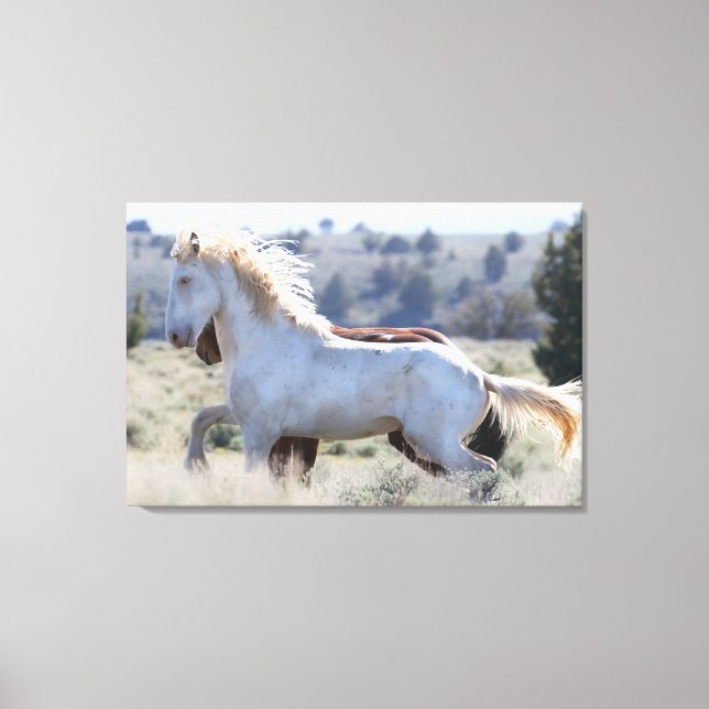 Survivor Wrapped Canvas  (Front)