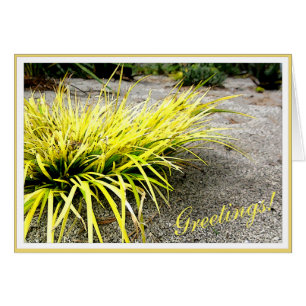 Survivor Yellow Desert Plant customizable Frame