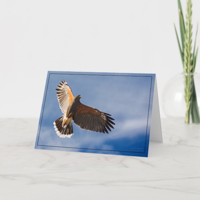 Survol de la Hawk - carte BLANK (Devant)