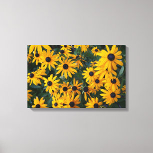 Susan Noir-eyed fleurit la toile