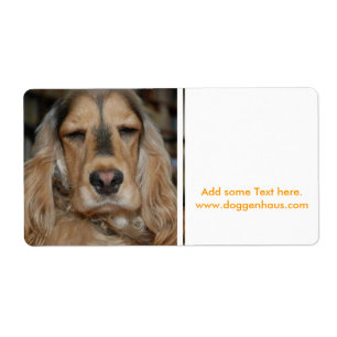 Sushi Cocker Spaniel