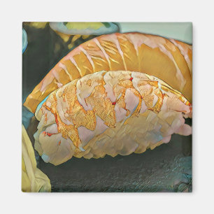 Sushi lover gift magnet