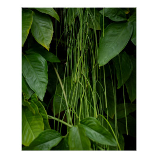 Suspended Nature Poster