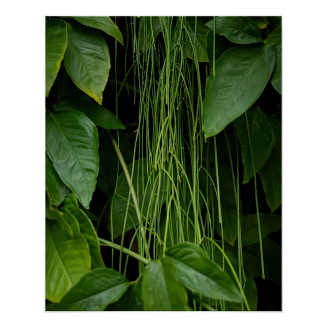 Suspended Nature Poster (Front)