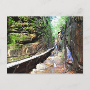 Suspended Path Stream Franconia Notch NH Postcard