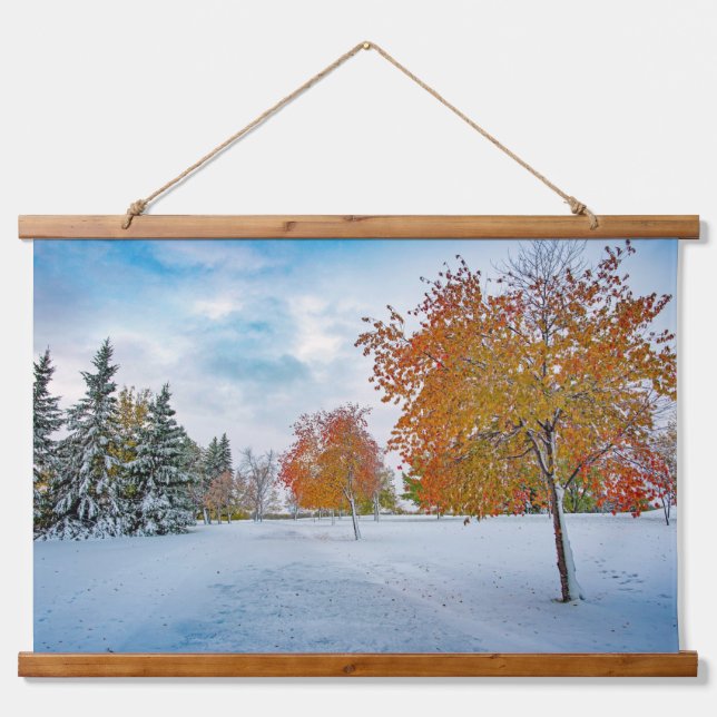 Suspendue Tapisserie (Devant)