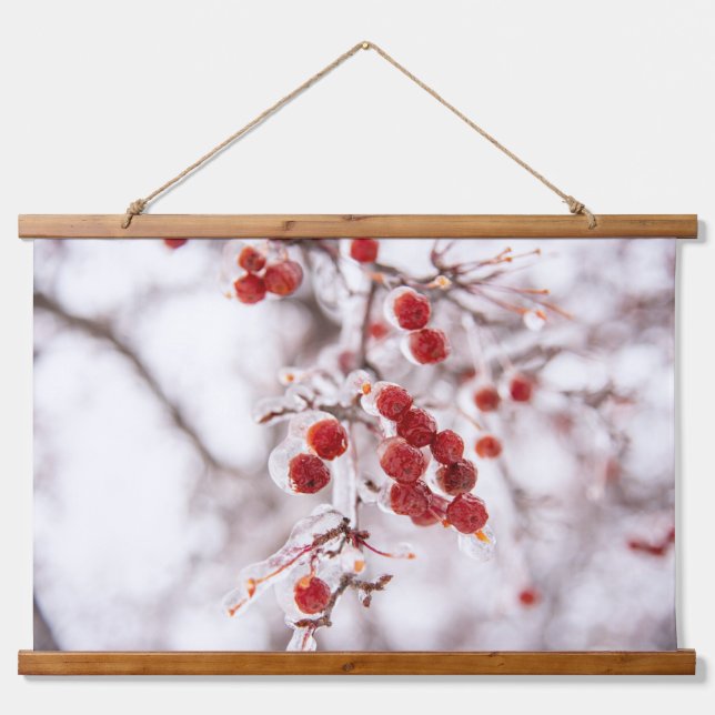 Suspendue Tapisserie (Devant)