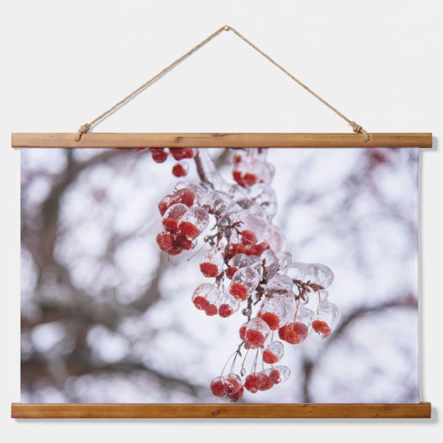 Suspendue Tapisserie (Devant)