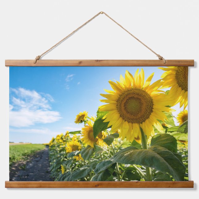 Suspendue Tapisserie (Devant)