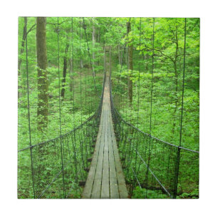 Suspension Bridge Tile