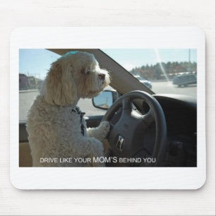 Suspicious Cockapoo Glances in Mirror Mouse Pad