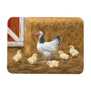 Sussex Chicken Mama Hen and Chicks Magnet