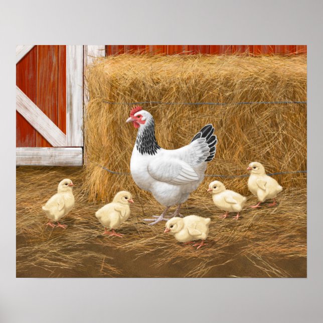 Sussex Chicken Mama Hen and Chicks Poster (Front)