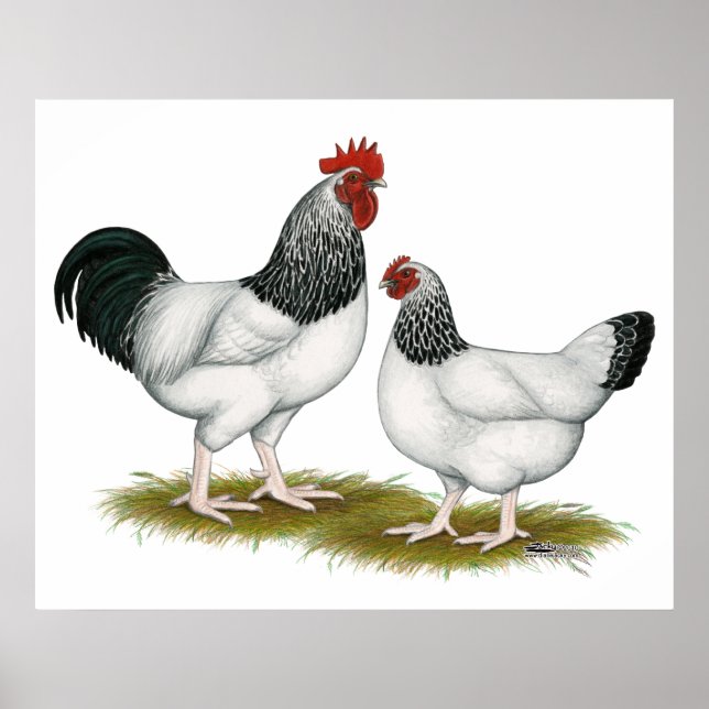 Sussex:  Light Pair Poster (Front)