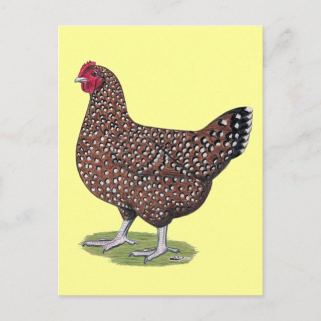 Sussex:  Speckled Hen Postcard (Front)