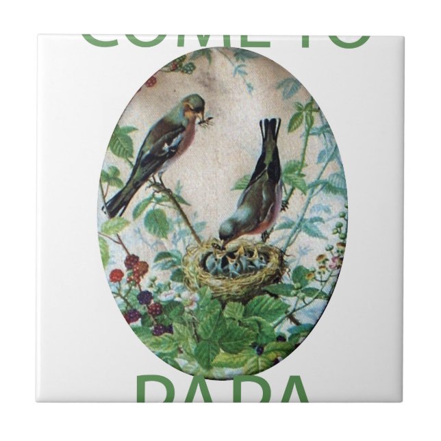 Sustaining the Flock: Capturing Nurturing Parental Tile (Front)