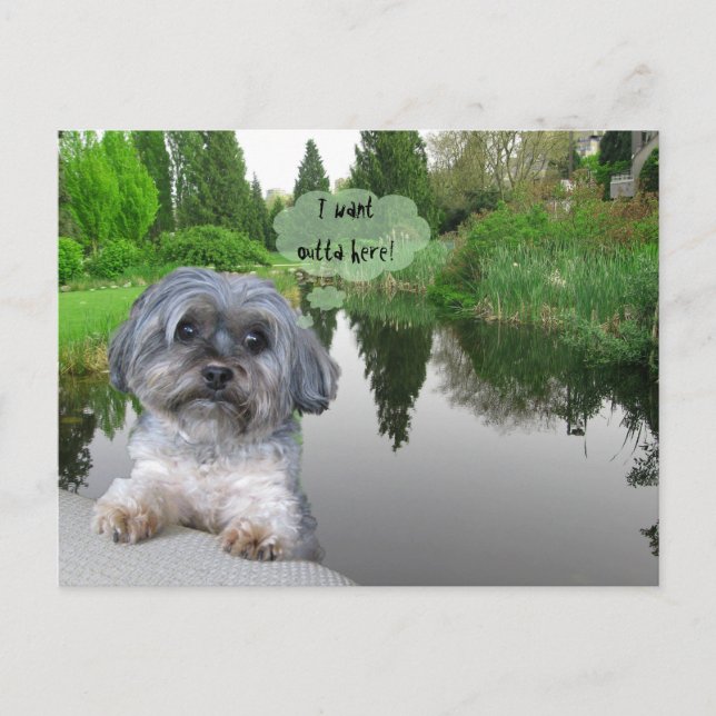 Sutcliffe Park, Vancouver, BC Carte postale (Devant)