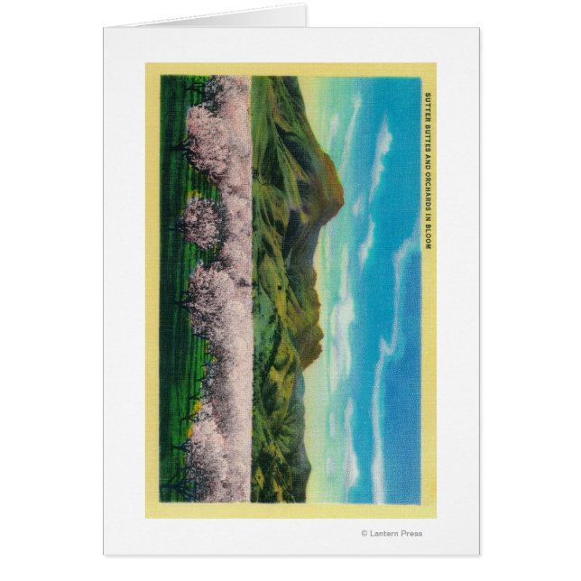 Sutter Buttes and Orchards in Bloom (Front)