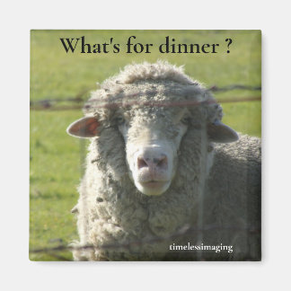 Sutter Buttes Mountain Range the sheep photo.  Magnet