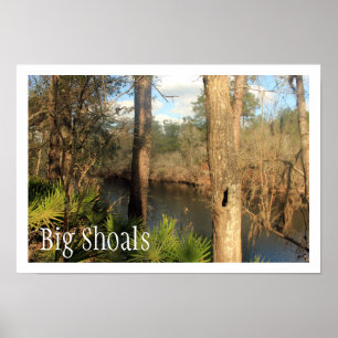 Suwanne River, Big Shoals State Park, Florida Poster