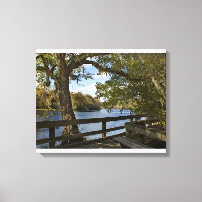 Suwannee River at Hart Springs  Canvas Print (Front)
