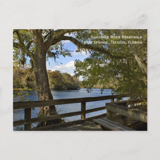 Suwannee River Boardwalk Postcard (Front)