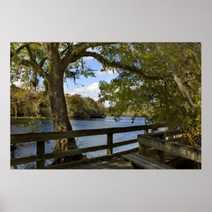 Suwannee River Boardwalk Print