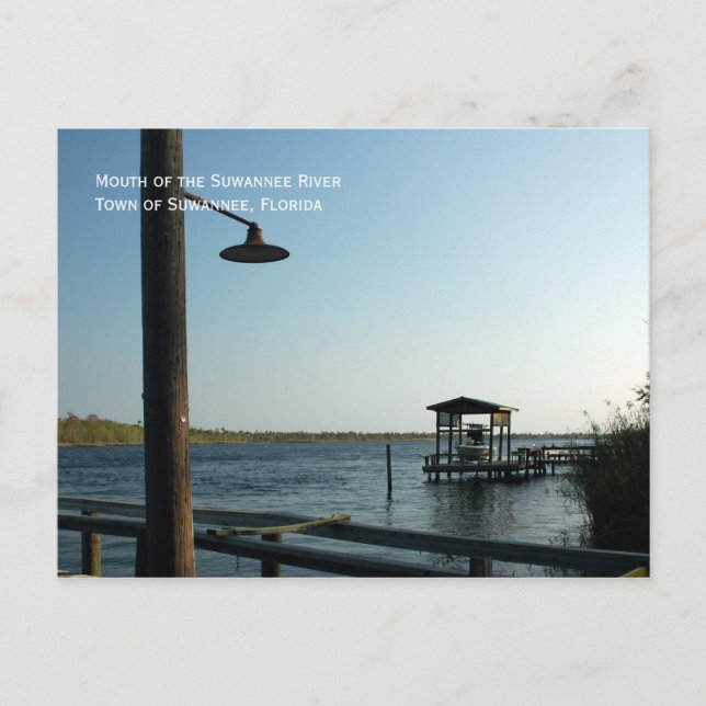 Suwannee River Dock Postcard (Front)
