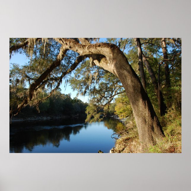 Suwannee River Poster (Front)