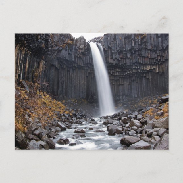 Svartifoss waterfall in Iceland postcard (Front)