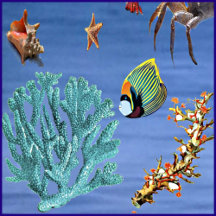 Marine Life Coral Reef Ocean Creations