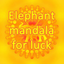 Elephant Mandala for luck