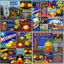 JIGSAW PUZZLES - Produce Crate Labels - Collages