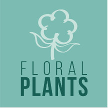 Floral & Plants
