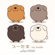 プーたま <Toy poodle>