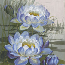 Ellis Rowan Blue Cloud Water Lily