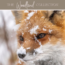 Christmas - "Woodland"