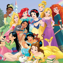 Official Disney Princess Merchandise