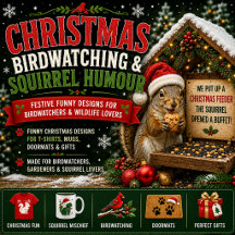Christmas Birdwatching & Squirrel Humour