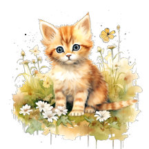 Gift for Cat Lovers 
