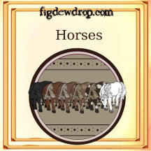 Horses Collection