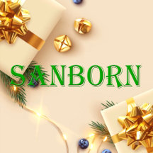 Sanborn Name T-Shirt