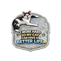 Better Life for My Cat Series