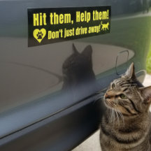 Hit Them, Help Them: Awareness Campaign