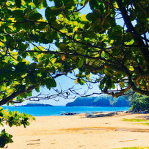 BRING THE BEACH HOME WALL ART