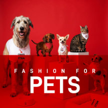 Browse Pet Products