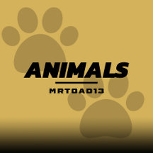 Animal Designs 